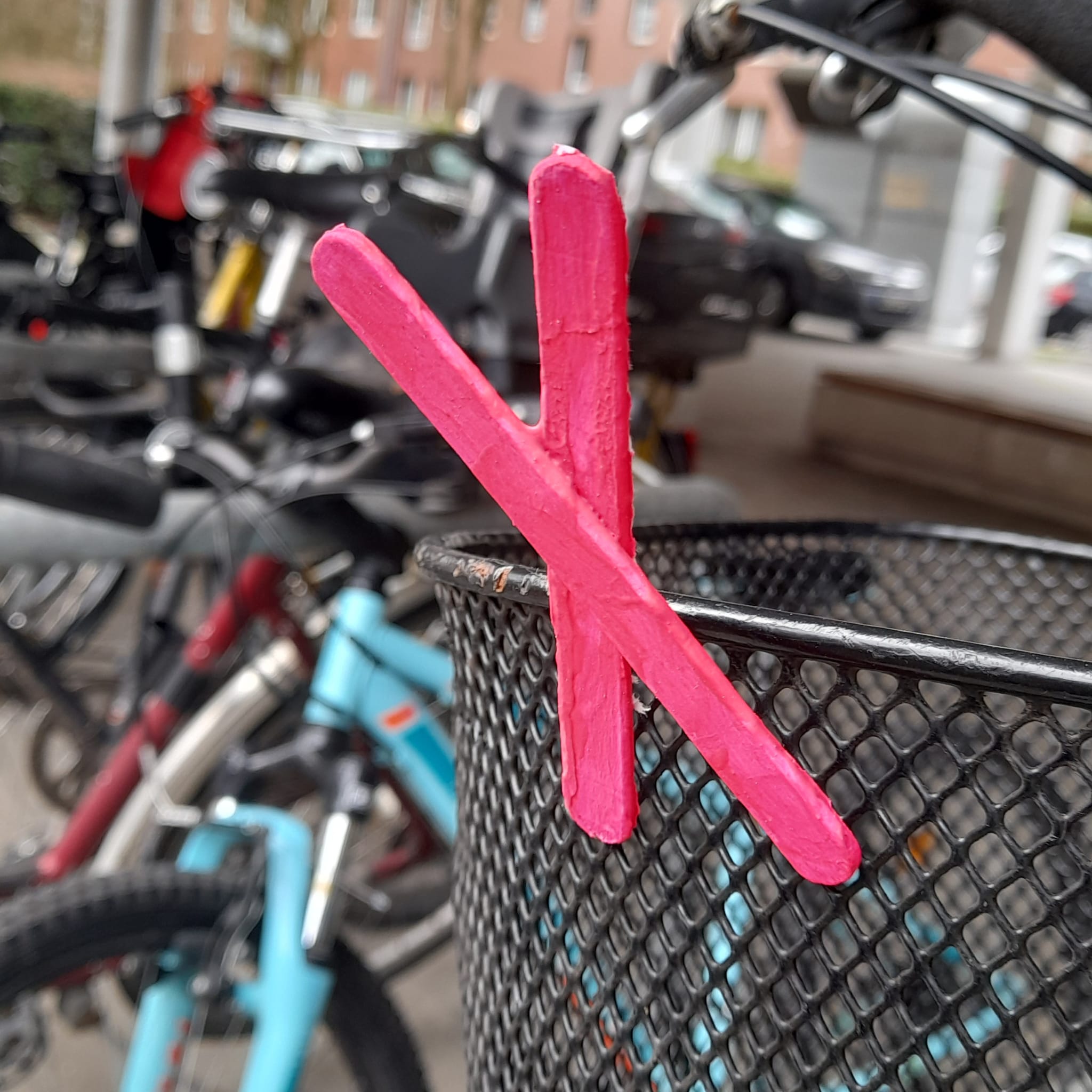 Rosa X am Fahrrad