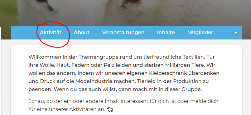 Reiter "Aktivität"